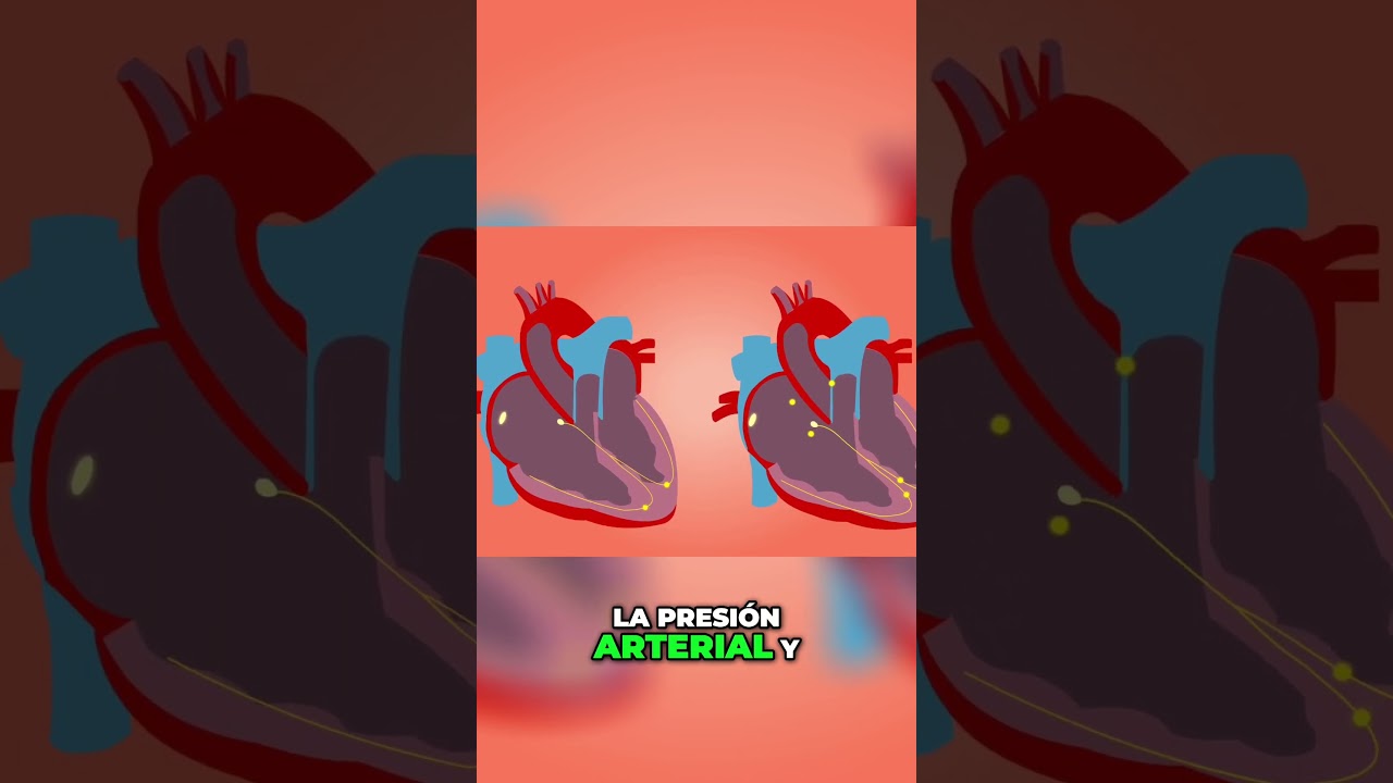 la manzanilla sube la tensión