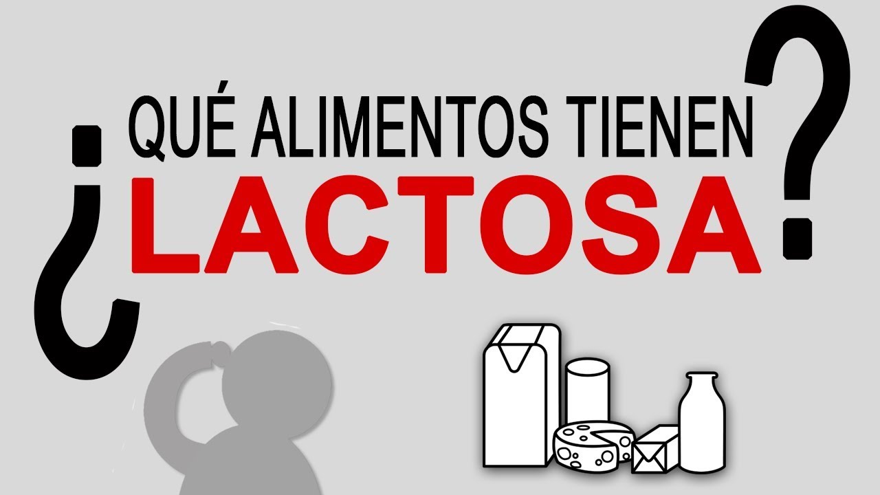 lactosa alimentos que la contienen