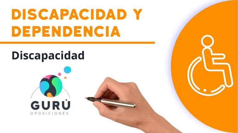 ley general de la discapacidad