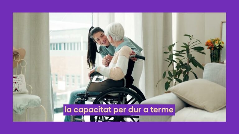 llei de dependencia grau 1