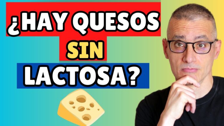 los intolerantes a la lactosa pueden comer queso