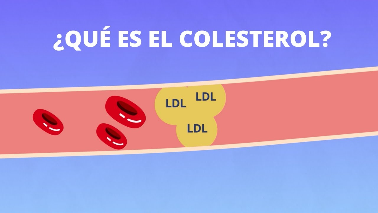 niveles de colesterol a lo largo de la historia