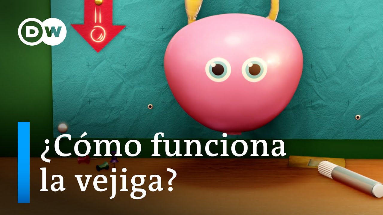 operacion de vejiga en hombres