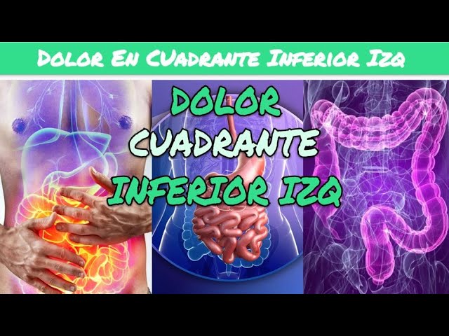 parte inferior izquierda del abdomen