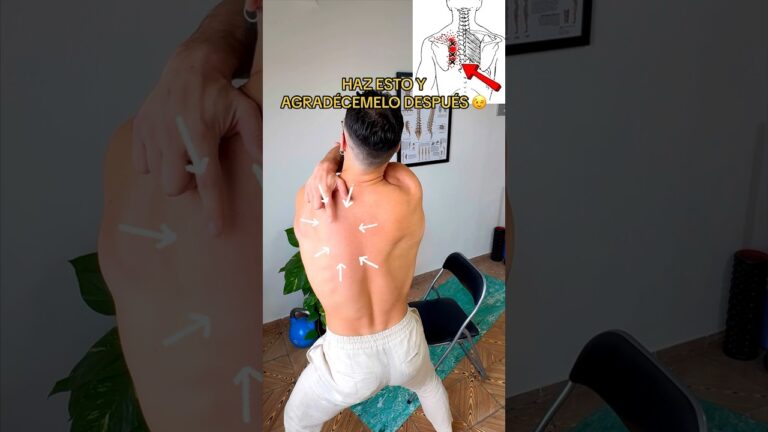 partes de la espalda alta