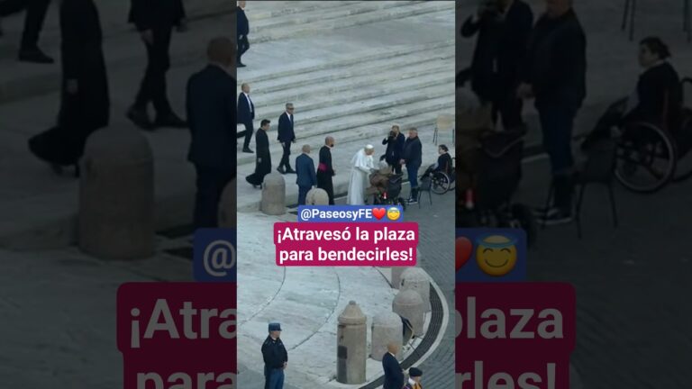 personas en sillas de ruedas