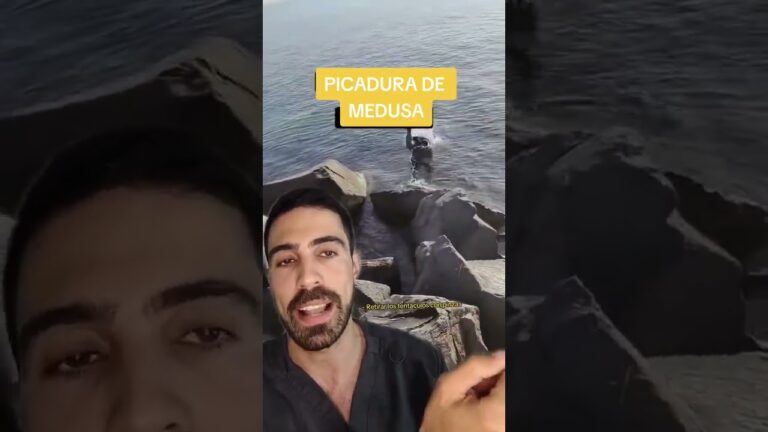 picadura de medusa 10 dias despues