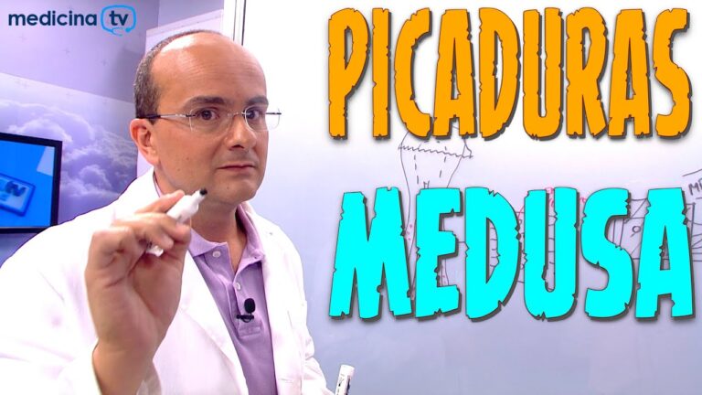 picadura de medusa una semana despues