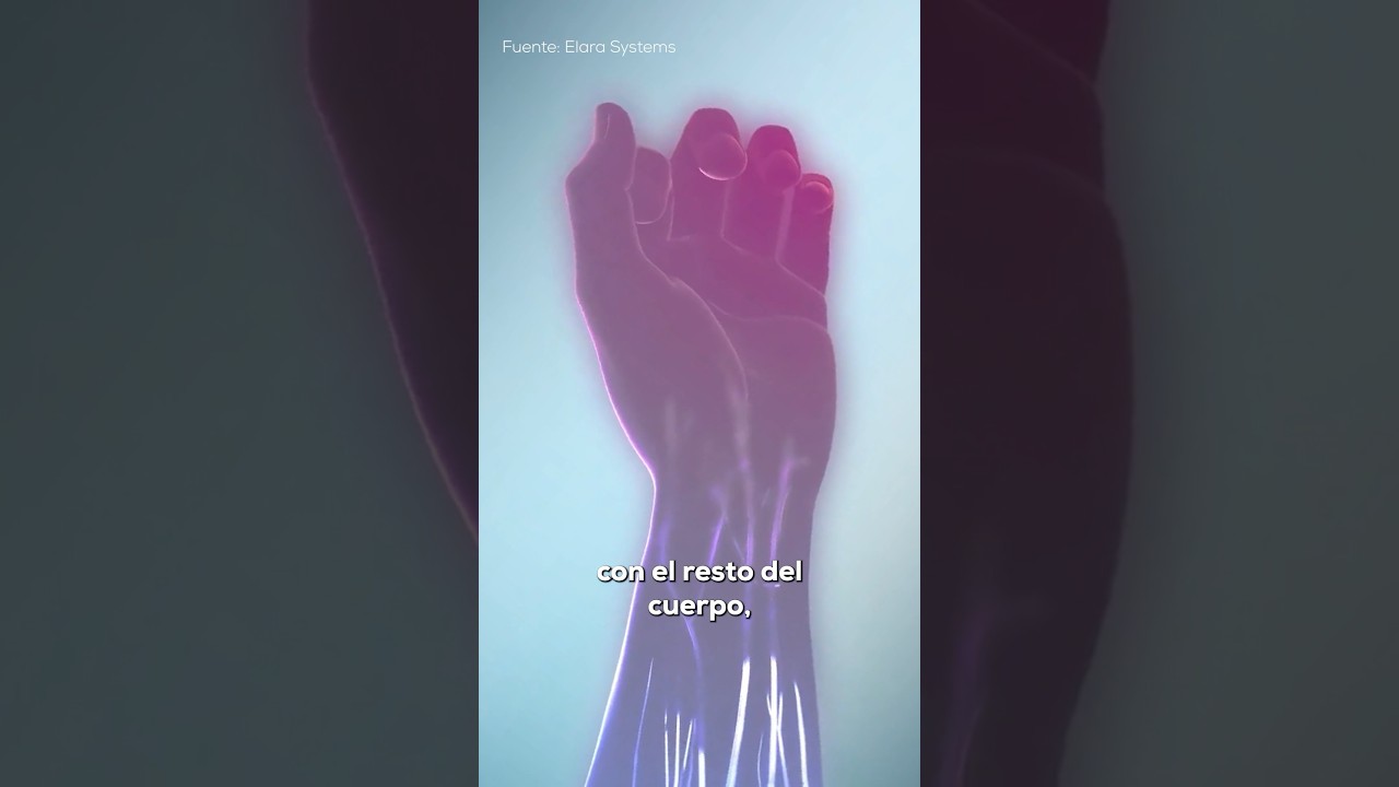 por que se duermen los brazos