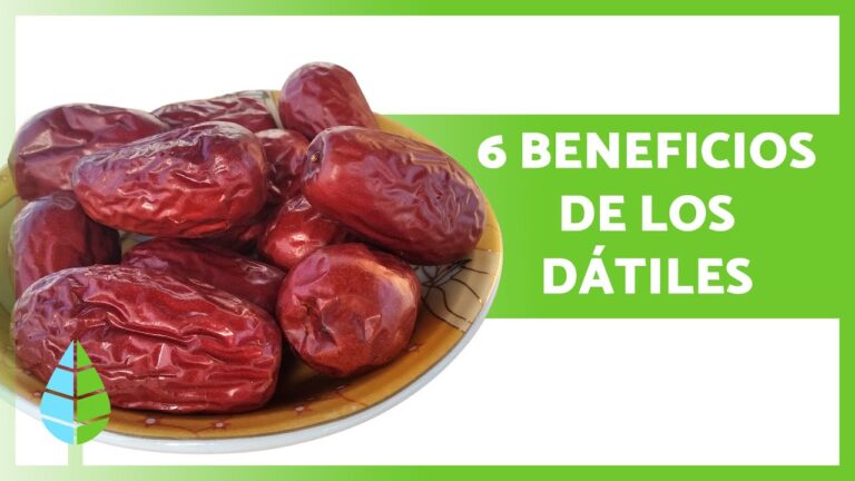 qué beneficios tienen los dátiles