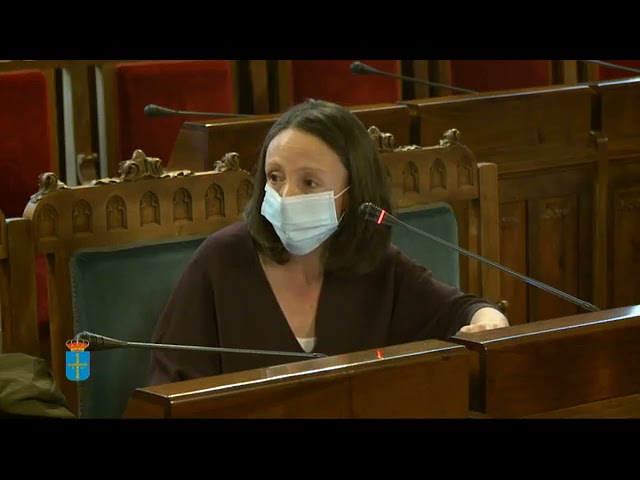 que es el pia en dependencia