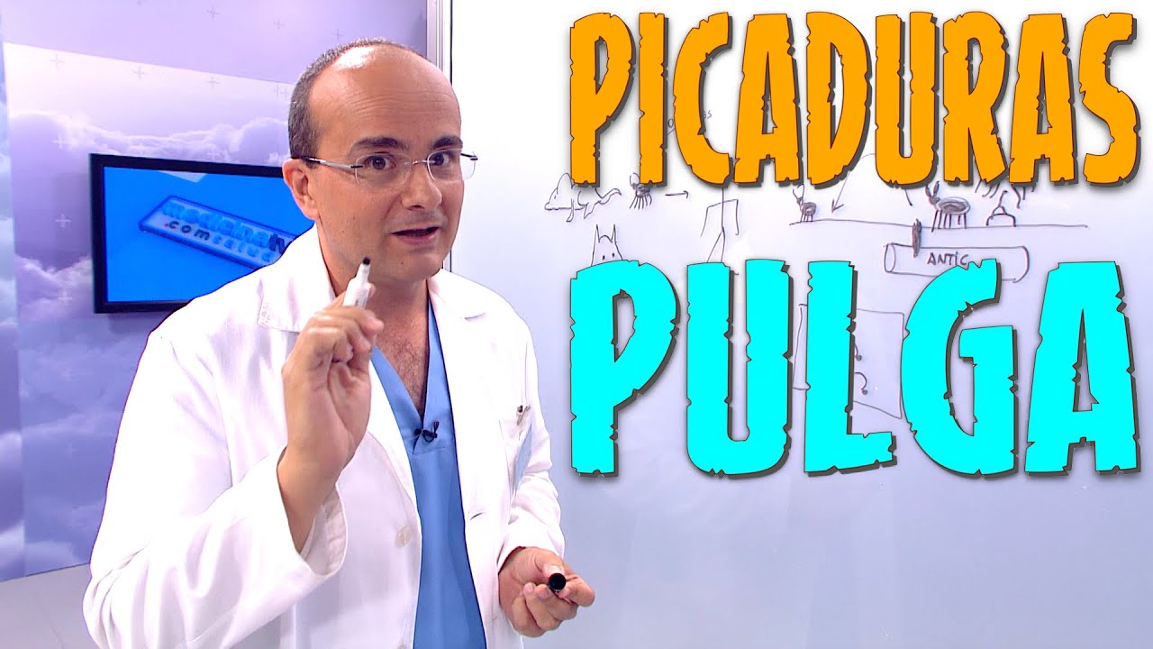 remedio casero para la picadura de pulga