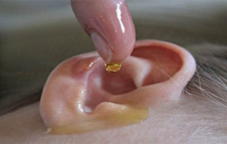 remedios para el oido caseros