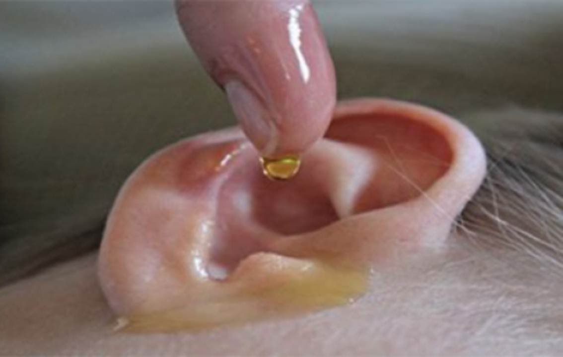 remedios para el oido caseros