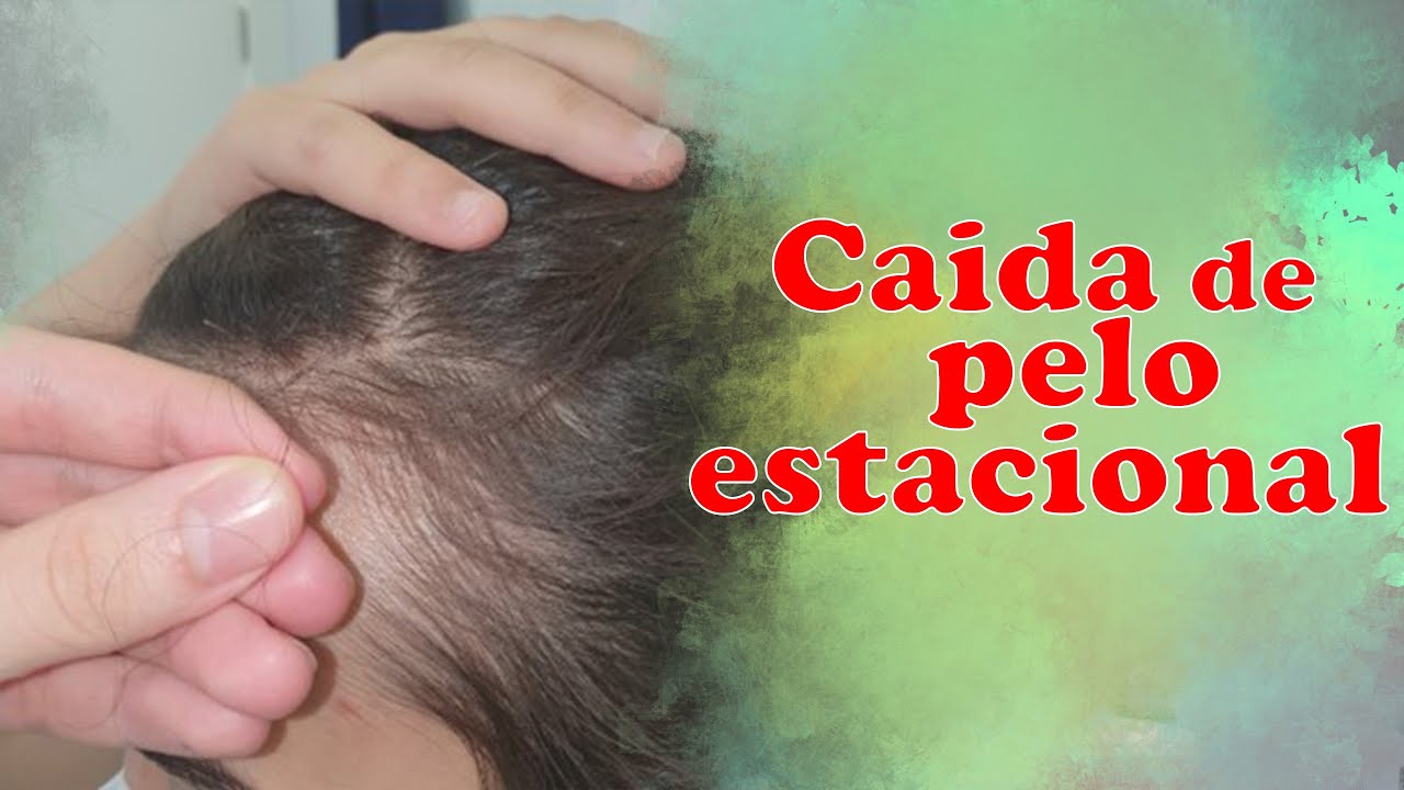 se cae el pelo en verano