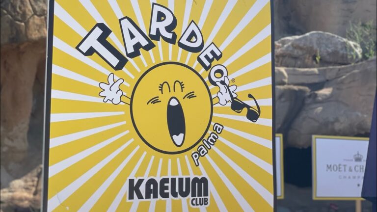 sitios de tardeo en palma de mallorca